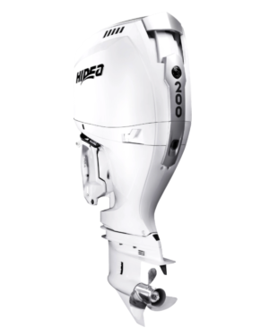 Moteur EFI 200 f Bl