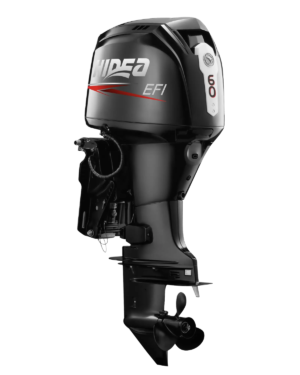 Moteur EFI 60 F